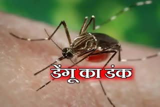 पटना में डेंगू के 95 नए मामले