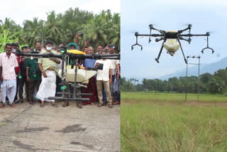 Drone Farming  idukki Agriculture Department Drone Farming  നെല്‍പ്പാടത്ത് ഇനി ഡ്രോണ്‍ പറക്കും  ഹൈടെക്‌ കൃഷിരീതി പരിചയപ്പെടുത്തി കൃഷിവകുപ്പ്  കൃഷിവകുപ്പ്