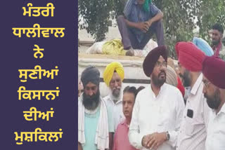 Kuldeep Singh Dhaliwal Minister of State of Tarn Taran Dana Mandi visited assured the farmers of adequate management.