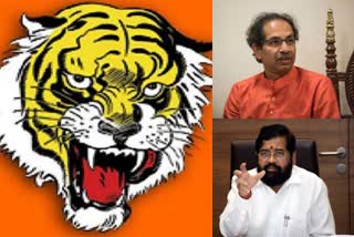 Sena symbol row