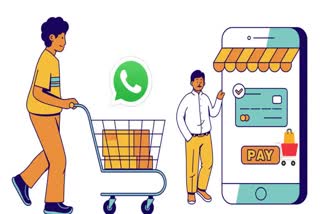 WhatsApp લાવી રહ્યુ છે નવુ ફિચર, સબ્સ્ક્રાઇબર્સને મળશે એડ-ઓન લાભો