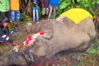 Hit by Rajdhani Express 2 elephans died in Assam