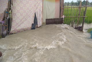 गोपालगंज में बाढ़ का पानी घर में घुसा