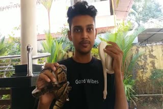 muhammaed hisham  muhammaed hisham resident of kannur  african snakes  african snakes as domestic animals  muhammaed hisham snake  muhammaed hisham snake story  latest news in kannur  latest news today  ആഫ്രിക്കന്‍ പെരുമ്പാമ്പുകള്‍ വളര്‍ത്തുമൃഗങ്ങള്‍  വില നാല് ലക്ഷം രൂപ വരെ  വേറിട്ട ജീവിതശൈലിയുമായി മുഹമ്മദ് ഹിഷാം  മുഹമ്മദ് ഹിഷാം  നഫീസ മൻസിലിലെ മുഹമ്മദ് ഹിഷാമിന്‍റെ കളികൂട്ടുകാര്‍  കിംഗ് കോൺ  മിൽക്ക് സ്നേക്ക്  ബ്ലഡ് പൈത്തൺ  കോർപ്പറേറ്റ് പൈത്തൺ  ഗ്രീൻ ട്രീ പൈത്തൺ  കെനിയൻ സാൻഡ് ബോ  ഫുഡ് ടെക്നോളജി മൂന്നാം വർഷ വിദ്യാർഥി  പരിവേഷ് എന്ന അപ്പിൽ  കണ്ണൂര്‍ ഹിഷാം  കണ്ണൂര്‍ ഏറ്റവും പുതിയ വാര്‍ത്ത  കണ്ണൂര്‍ ഇന്നത്തെ പ്രധാന വാര്‍ത്ത  പാമ്പിനെ വളര്‍ത്തുന്ന ഹിഷാം