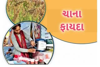 Etv Bharatકોદરા અનેક રોગો માટે પણ રામબાણ છે, જાણો આ ચાના વિવિધ ફાયદા વિશે