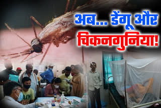 Increasing cases of dengue and chikungunya in Jharkhand