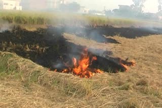 Crop residues in Karnal