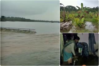 Heavy rain in Davangere  Juice maker unit drown  rain Water entered the school  ಮಳೆ ಅಬ್ಬರಕ್ಕೆ ದಾವಣಗೆರೆ ಮಂದಿ ತತ್ತರ  ಜ್ಯೂಸ್ ತಯಾರಕ ಘಟಕ ಮುಳುಗಡೆ  ಸಂಸದ ಸಿದ್ದೇಶ್ವರ್ ಒಡೆತನದ ಫ್ಯಾಕ್ಟರಿಗೆ ನೀರು  ಮಳೆ ನೀರು ನುಗ್ಗಿದ್ದರಿಂದ ಇಡೀ ಶಾಲೆ ಸಂಪೂರ್ಣ ಜಲಾವೃತ