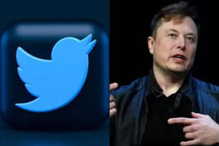 Twitter asked whistleblower to destroy computer files, notebooks: Musk team