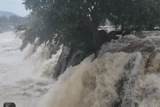 Hogenakkal  water flow rises to thirty five thousand cubic feet and bathing boatingworks prohibited
