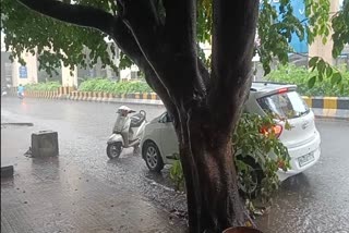 Nagpur Rain