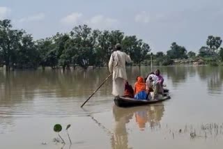 सारण के तटवर्ती इलाके में बाढ़