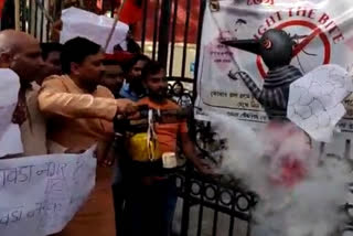BJP shows protest at Howrah Municipal Corporation over Dengue situation