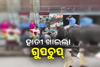 VIRAL VIDEO: ତେଜପୁରୀ ଷ୍ଟ୍ରିଟରେ ଗୁପଚୁପ ଖାଇଲା ହାତୀ