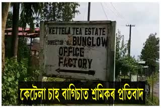 Tea workers protest in Bihali seeking wages