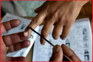 Jammu Kashmir Elections Voter