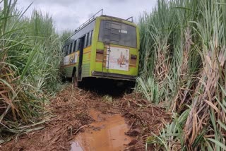 ಬ್ರೇಕ್ ಫೇಲ್ ಆಗಿ ಕಬ್ಬಿನ ಗದ್ದೆಗೆ ನುಗ್ಗಿದ ಕೆಎಸ್‌ಆರ್‌ಟಿಸಿ ಬಸ್