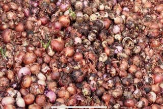 onion rotted in Nafed godown in Nashik Due to return rains