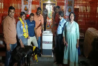 Goat Wins Lucky Draw in Jhalawar