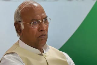 Mallikarjuna kharge statement while seeking votes for the congress president election