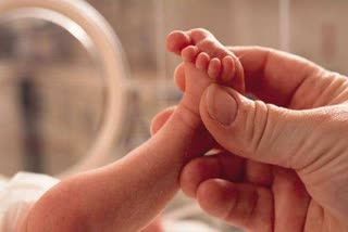 Newborn found in hospital corridor