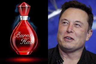 Elon Musk perfume Burnt hair price