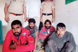 Vehicle thief Arrested in Rohtak