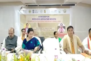 Workshop on Bodoland sericulture mission in Kokrajhar