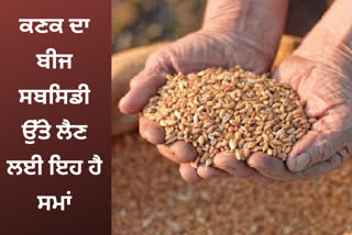 filling application form for subsidized wheat seed