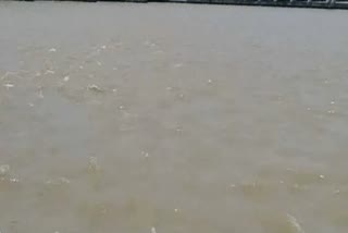 4 people drowned in river in Chhindwara