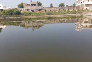 fish farmers are rearing banned fish in panipat