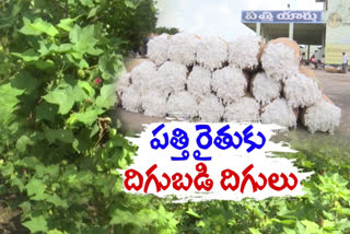 Cotton farmers troubles due to rains