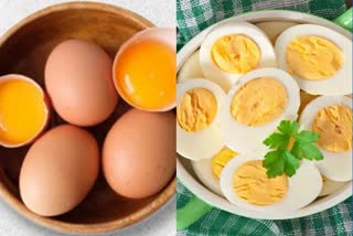 egg health benefits in telugu