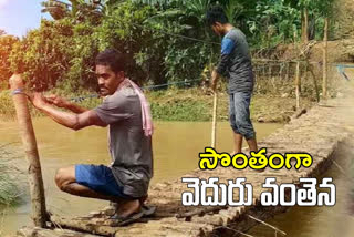 bamboo bridge