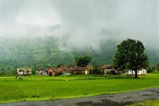 Amboli Wetland