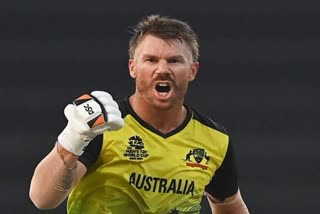 David Warner injured