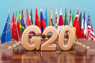 G20