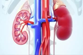 gmcs-super-specialty-hospital-starts-kidney-transplant-procedure