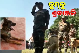 29 Army Dog Unit pays tribute to Indian Army Dog Zoom in Jammu