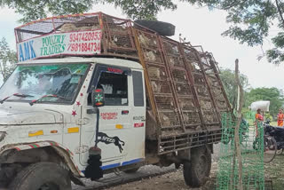 A VAN CARRYING A LOAD OF HENS OVERTURNED IN MEDAK DISTRICT