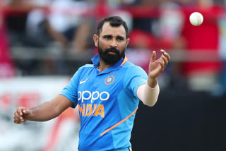 Shami picked as Bumrah's replacement in India squad for T20 World Cup