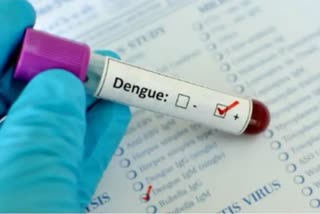 यूपी में डेंगू का खतरा