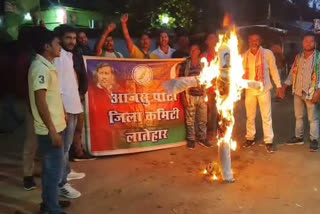 Ajsu protest latehar against local body elections without OBC reservation decision  Chief Minister effigy burnt