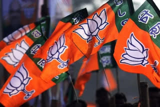 MP BJP flag