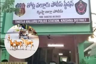 CI and SI arrested for tampering with murder case  CI and SI arrested  corrupt police officers  manipulation of a murder case  Stray dogs solve a murder case  CI and SI arrested in Andhra Pradesh  ಪ್ರಕರಣ ಬೇಧಿಸಿದ ಬೀದಿ ನಾಯಿಗಳು  ಭ್ರಷ್ಟ ಪೊಲೀಸ್ ಅಧಿಕಾರಿಗಳನ್ನು ಸೆರೆ  ಬೀದಿ ನಾಯಿಗಳು ಪೊಲೀಸ್​ ಇಲಾಖೆಗೆ ಸಹಾಯ  ಸಾಫ್ಟ್​ವೇರ್​ ಉದ್ಯೋಗಿ ಕೊಲೆ ಪ್ರಕರಣ  ಉದ್ಯೋಗಿ ಗಾಡಿಕೊಯ್ಯ ಶ್ರೀನಿವಾಸ ರೆಡ್ಡಿ ಕೊಲೆ  ವಿವಾಹೇತರ ಸಂಬಂಧವೇ ಕೊಲೆಗೆ ಕಾರಣ