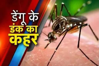Dengue Cases increase In Patna