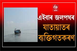 Privatization of river road transport