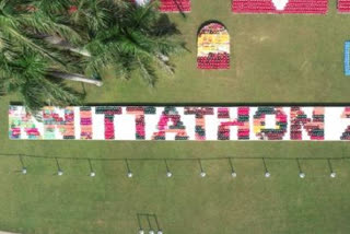 AFWWA sets Guinness World Record for largest display of knitted woollen caps