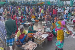 புரட்டாசி சனிக்கிழமை போனது.. கடலூர் மீன்பிடி துறைமுகத்தில் குவிந்த மீன் பிரியர்கள்