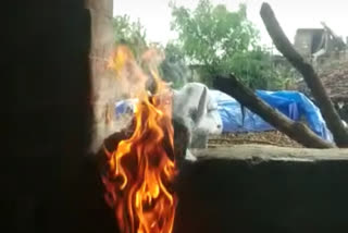 Fire breaks out all of sudden in Jharkhand's village